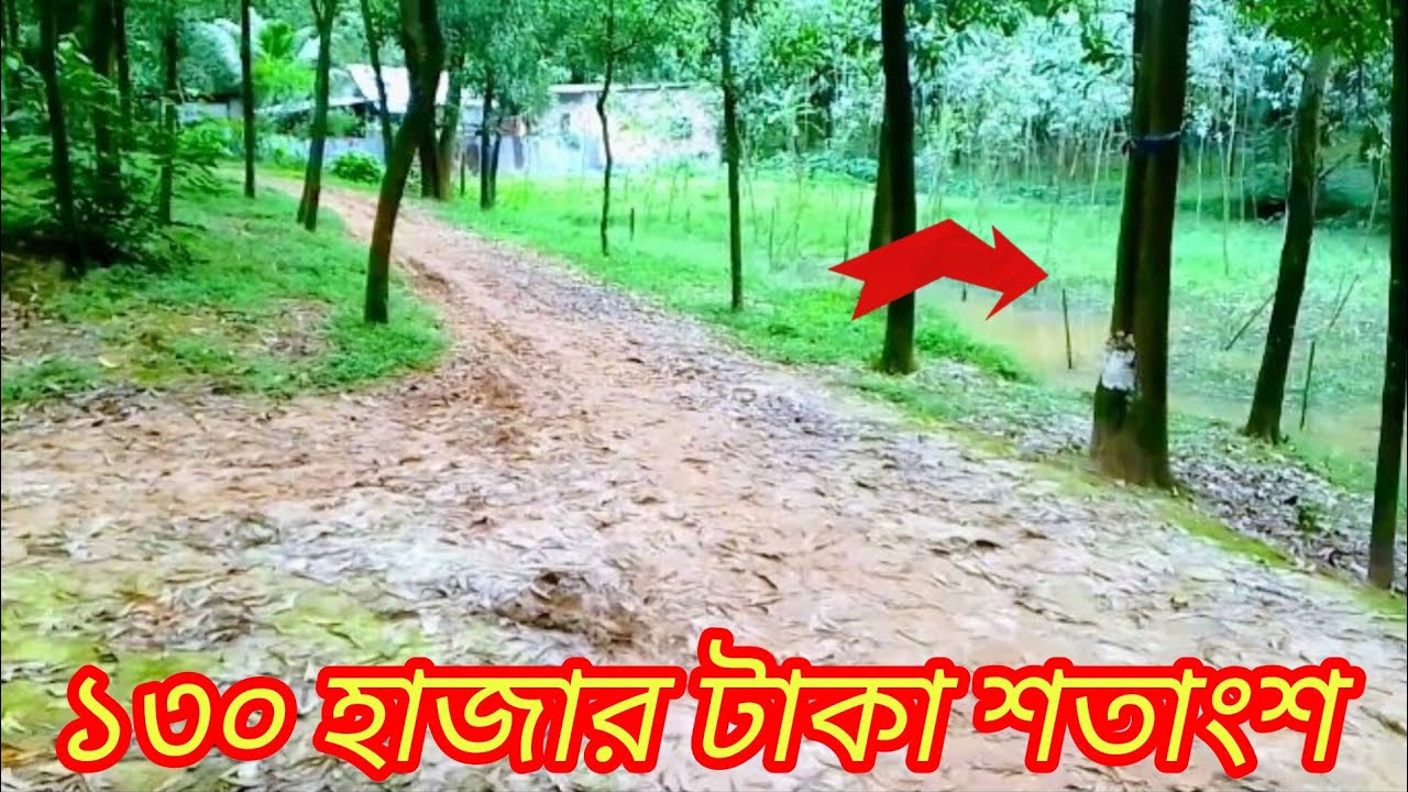১৩০ হাজার টাকা শতাংশ জমি বিক্রি গাজীপুর। কমদামে জমি বিক্রি গাজীপুর। জমি বিক্রি 2025