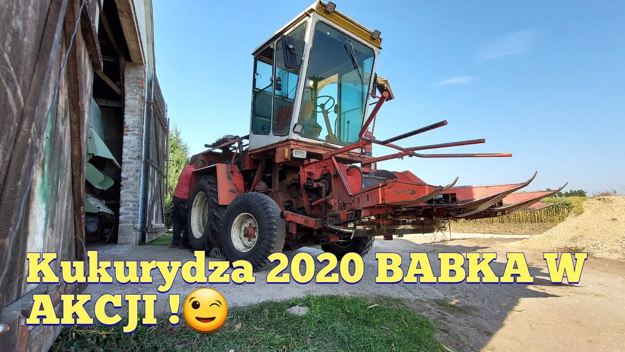 Kukurydza 2020 BABKA kładzie 40 ha 🔥zapchana sieczkarnia Fahr, ● Case ● Fendt ● Pronar ●Zetor :-)