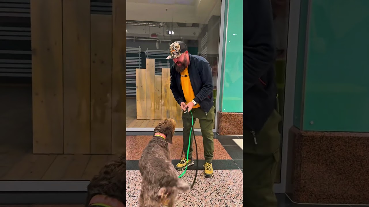 With hunting dogs in the shopping center