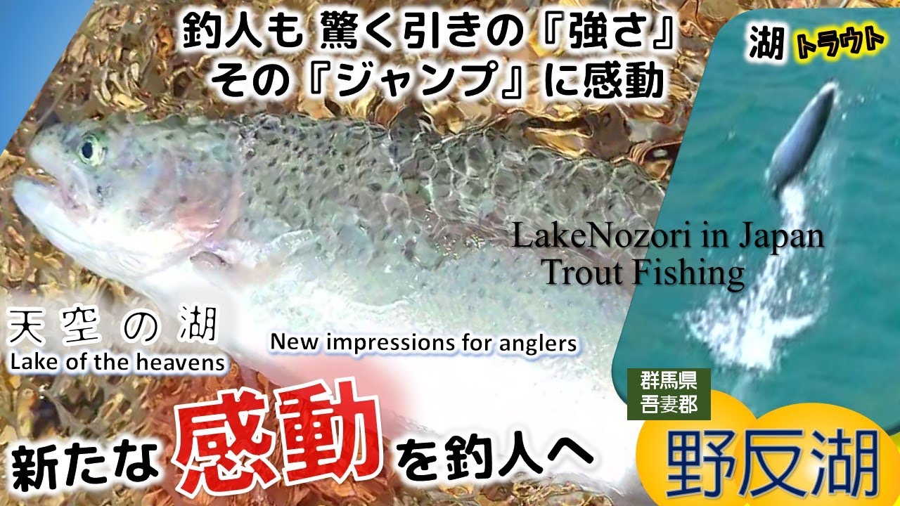 【群馬野反湖】ネイティブトラウト新たな挑戦/Native Trout New Challenges in  JapanLAKE NOZORI #野反湖トラウト #群馬トラウト #ブルーバックレインボー