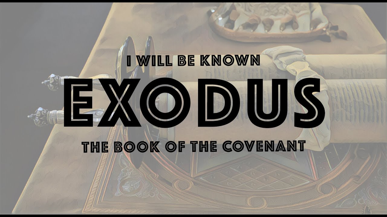 Exodus 23:10-19 / You Got Rhythm
