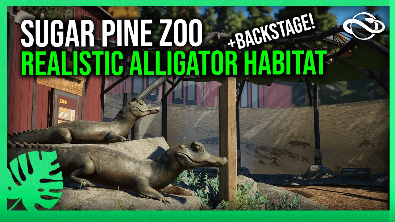 Realistic Alligator Exhibit + Backstage! - Sugar Pine Zoo