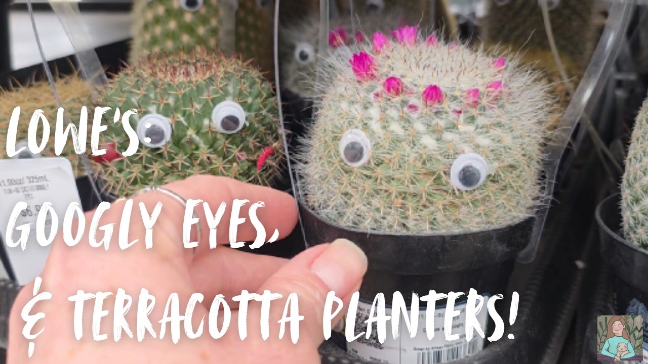 Lowe's, Googly Eyes & Terracotta Planters