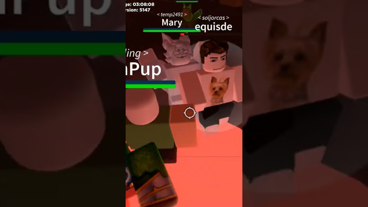 in power outage when it's being set the slime pup puddle and slime hound and dragon slime pup red