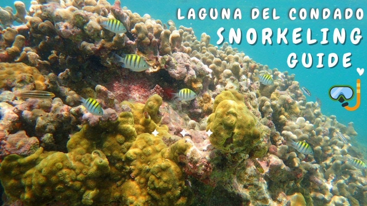 Must Do Activities In Puerto Rico | Snorkeling In San Juan