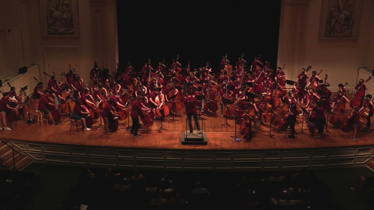 Double Bass Orchestra - 