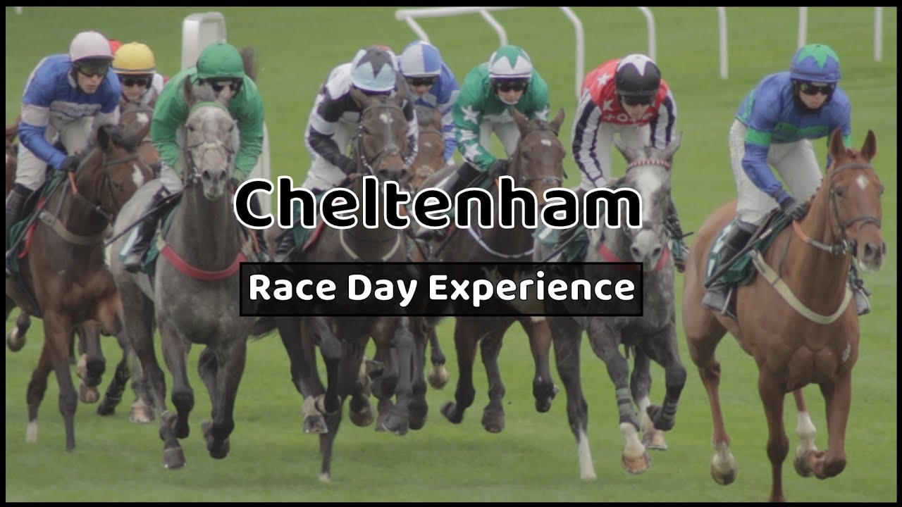 Cheltenham Races | Our race day experience | Cheltenham Festival.