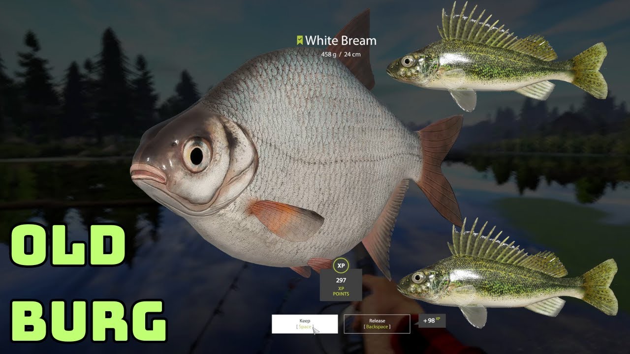 Ruffe, White Bream Old Burg | Russian Fishing 4 (454)