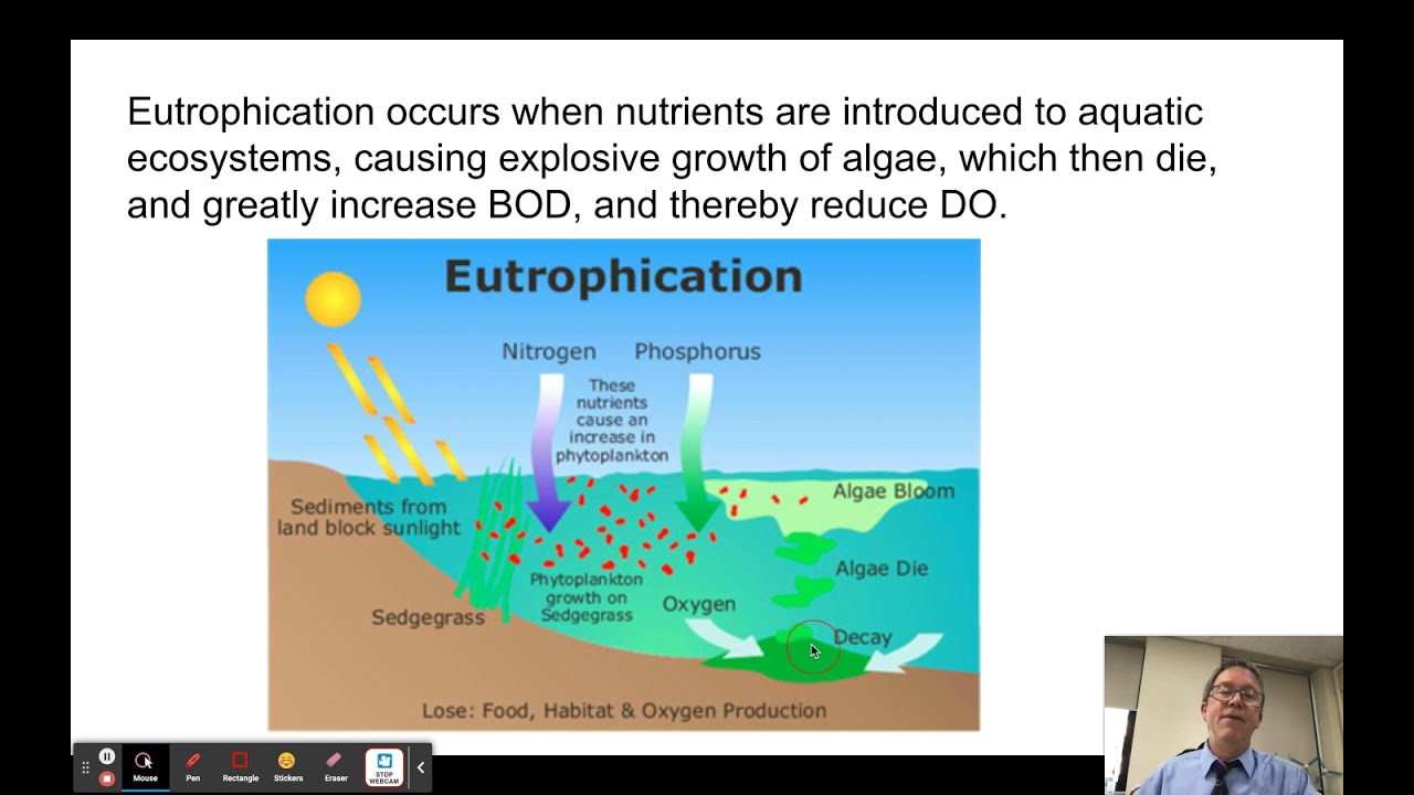 BOD and Eutrophication