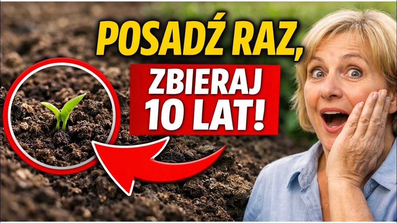 Ogród DLA LENIWYCH! Posadź te 7 warzyw RAZ i zbieraj plony przez 10 LAT!
