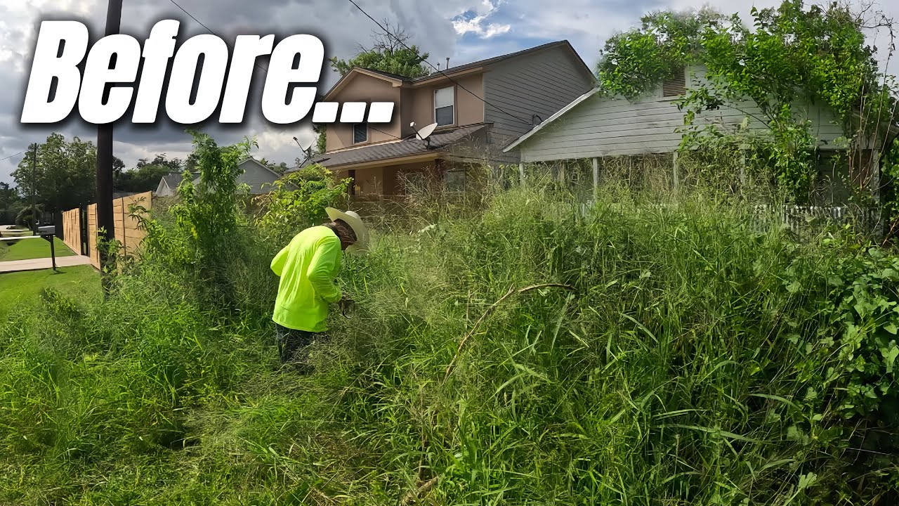 City's BIGGEST Overgrowth Nightmare Fixed in One Day!