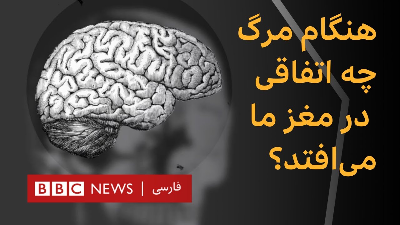هنگام مرگ چه اتفاقی در مغز ما می‌افتد؟