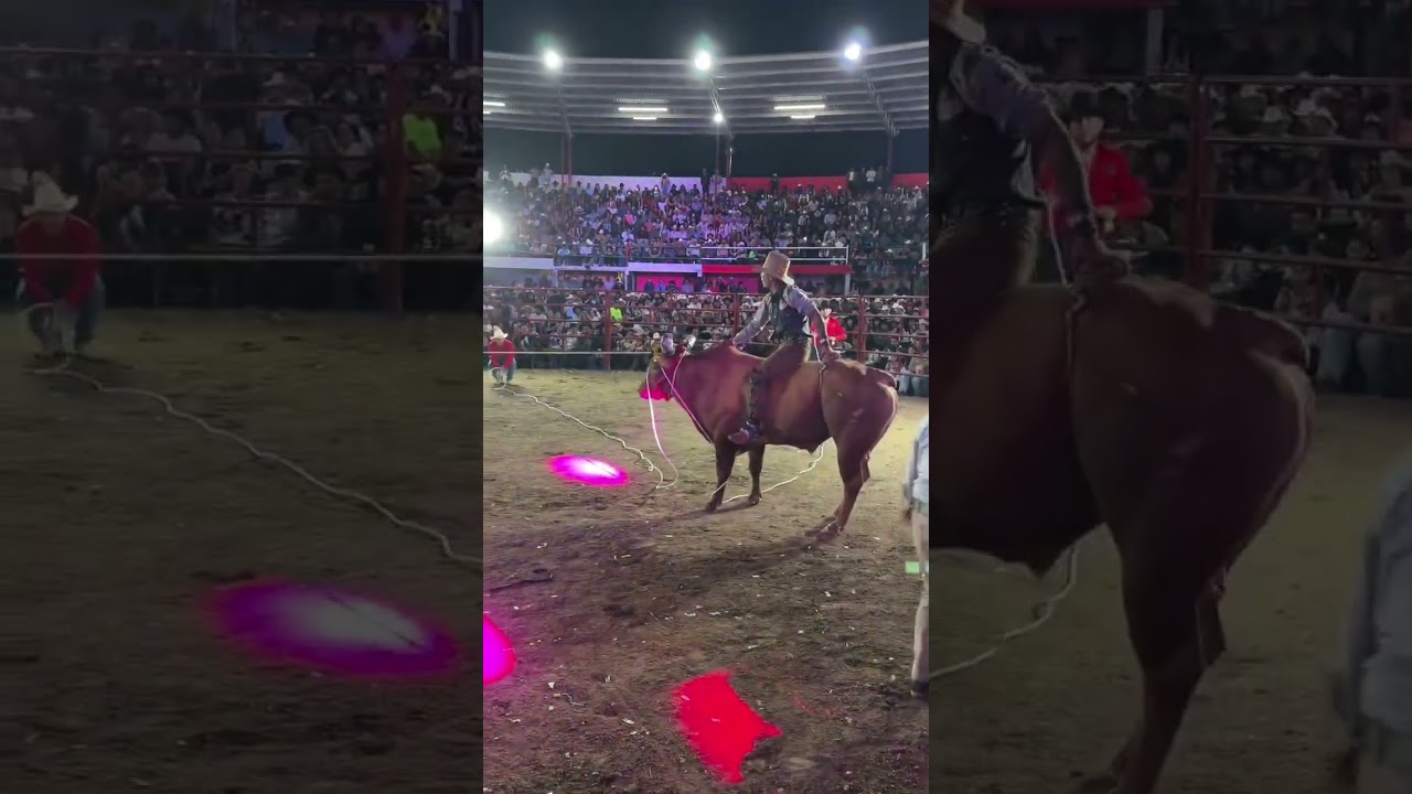 Los ases indomables de Chilpancingo 