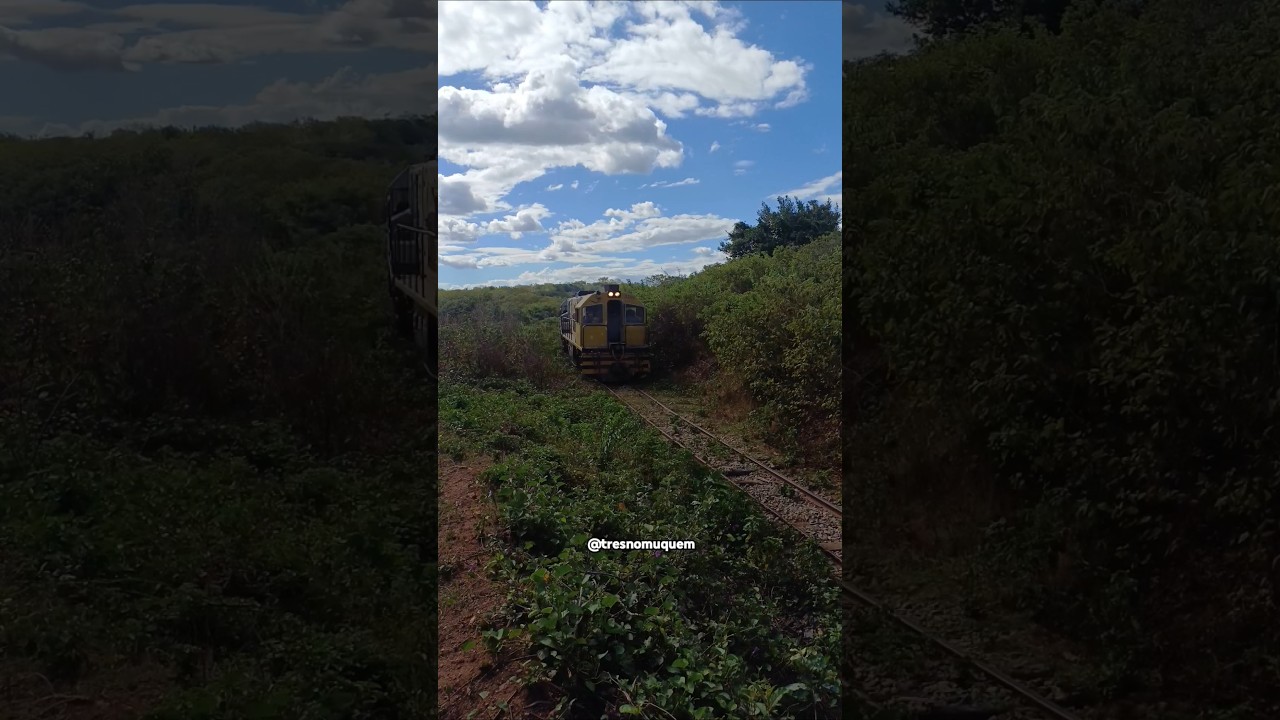 L&aacute; vai o trem bobineiro 🚂🚃📢 #ferrovia #train #ferroviabrasileira #railway #ftl #automobile