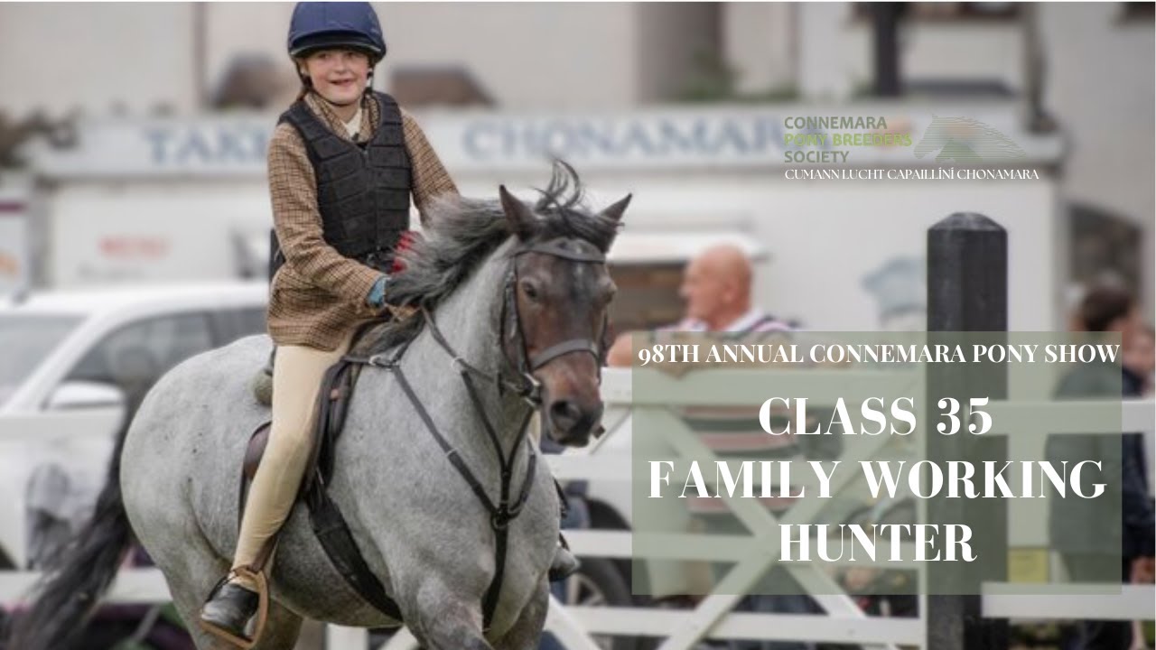 Class Thirty Five Family Working Hunter | 98th Annual Connemara Pony Show