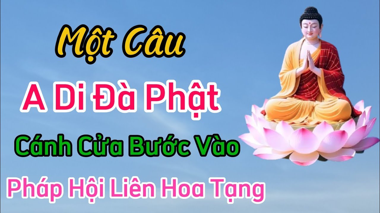 🕊️ Một Câu 