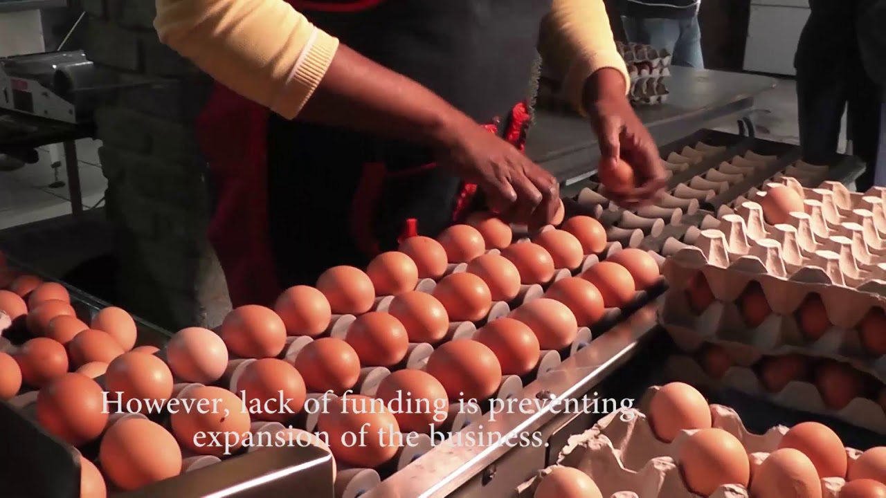 Young farmer is making a mark in South Africa 's poultry industry