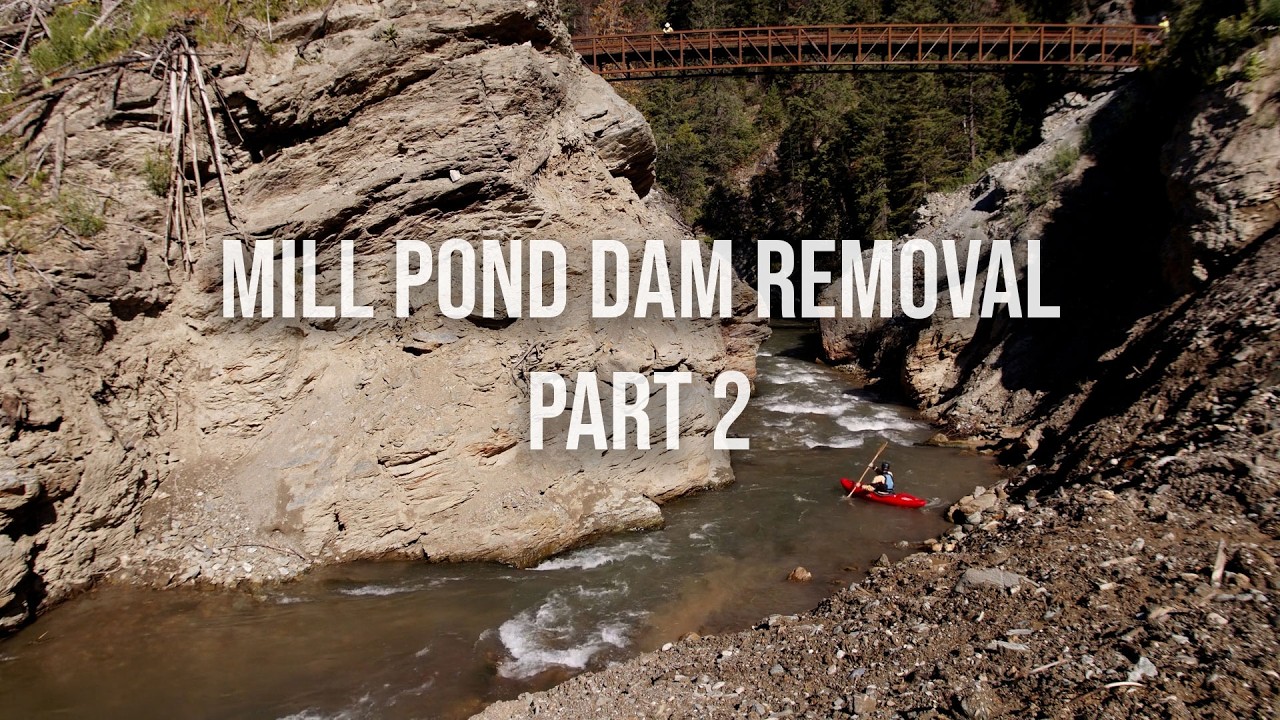 Revisiting Sullivan Creek, WA after Mill Pond Dam Removal