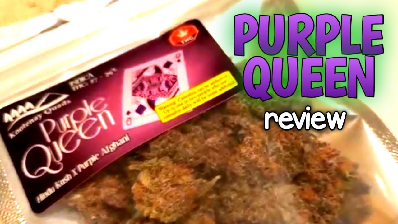 Purple Queen review