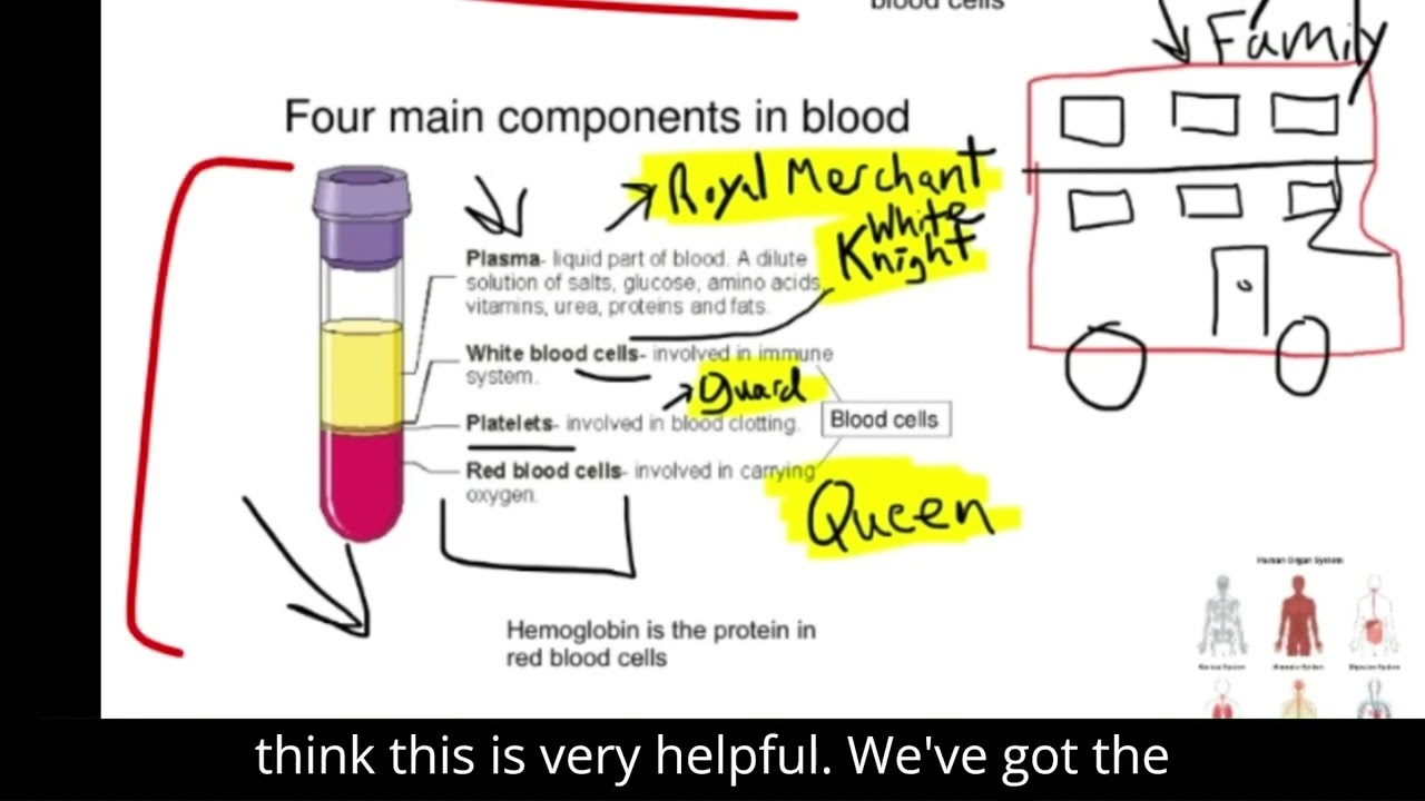 Animal Farm Essay, Significant Figures, Organ Systems | English/Math/Science | Jan. 14, 2026 Update