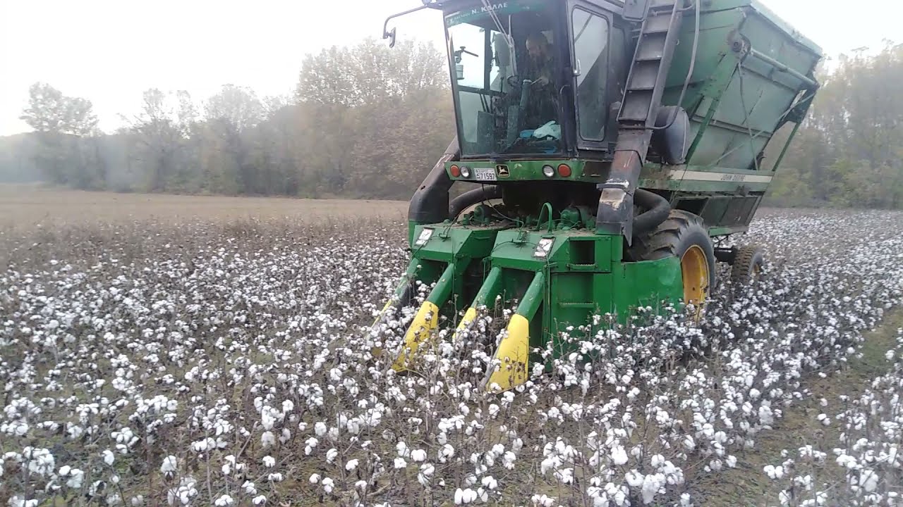 John Deere 9920 Συλλογή Βαμβακιού Στον Κάμπο Καστανεων Έβρου 14.11.2021