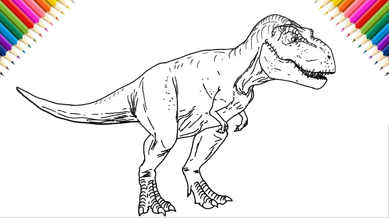 How to Draw T-Rex | Step by Step | Drawing and Coloring