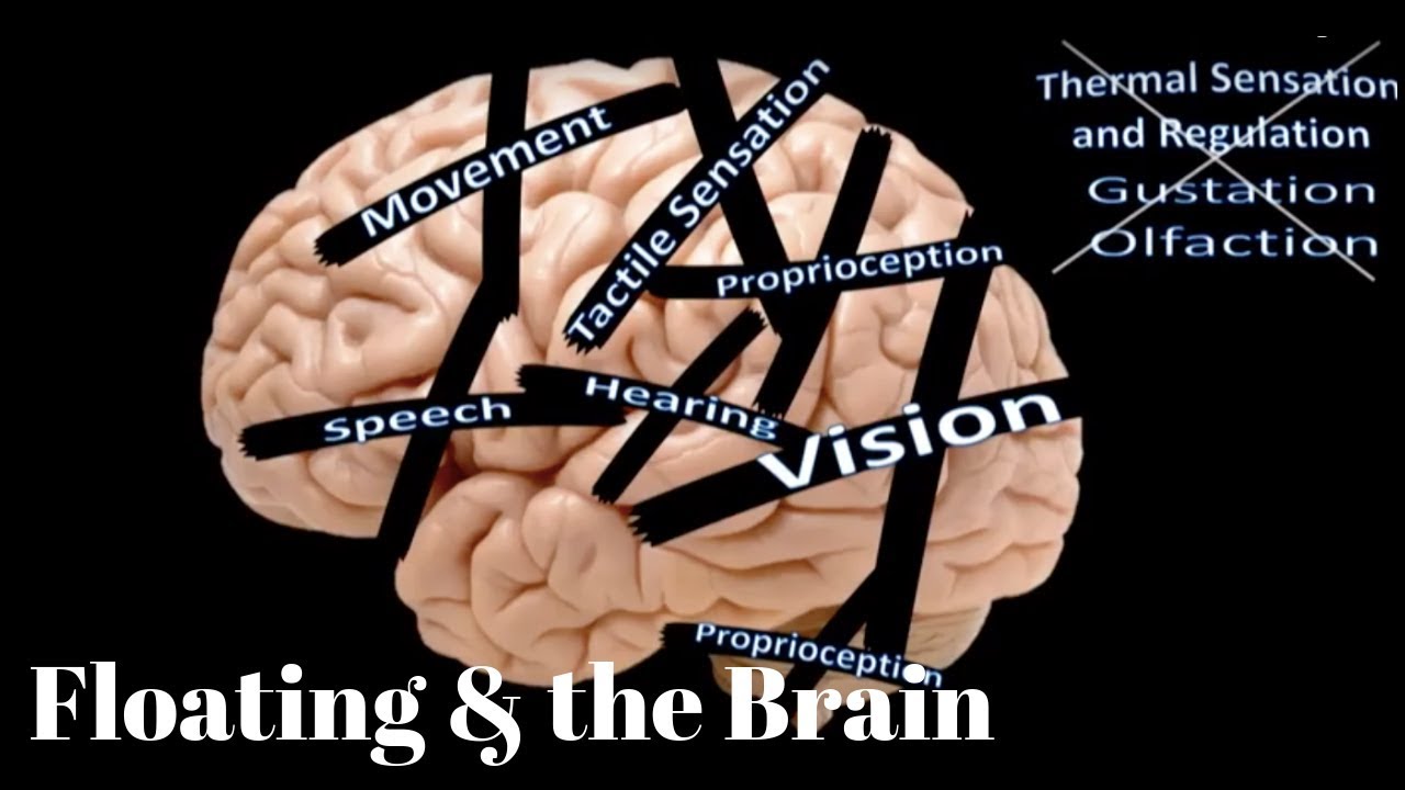 Floating and the Brain - Dr. Justin Feinstein Clinical Neuropsychologist