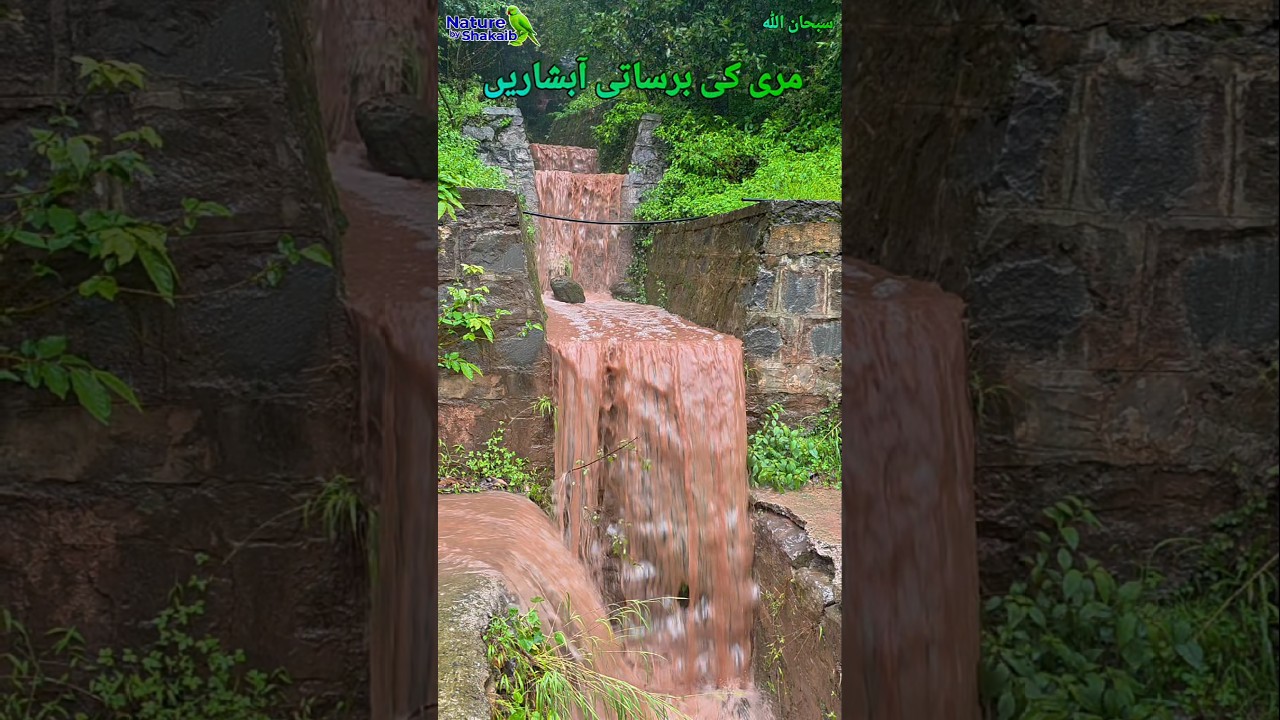 Murree's Rain Waterfalls with Natural sound. #nature