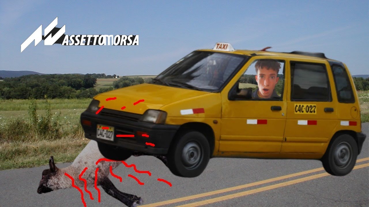 Atropello hasta las ovejas de aitorardik