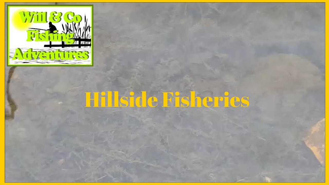 Carp Fishing At Hillside Fisheries 2016 - Will & Co Fishing Adventures