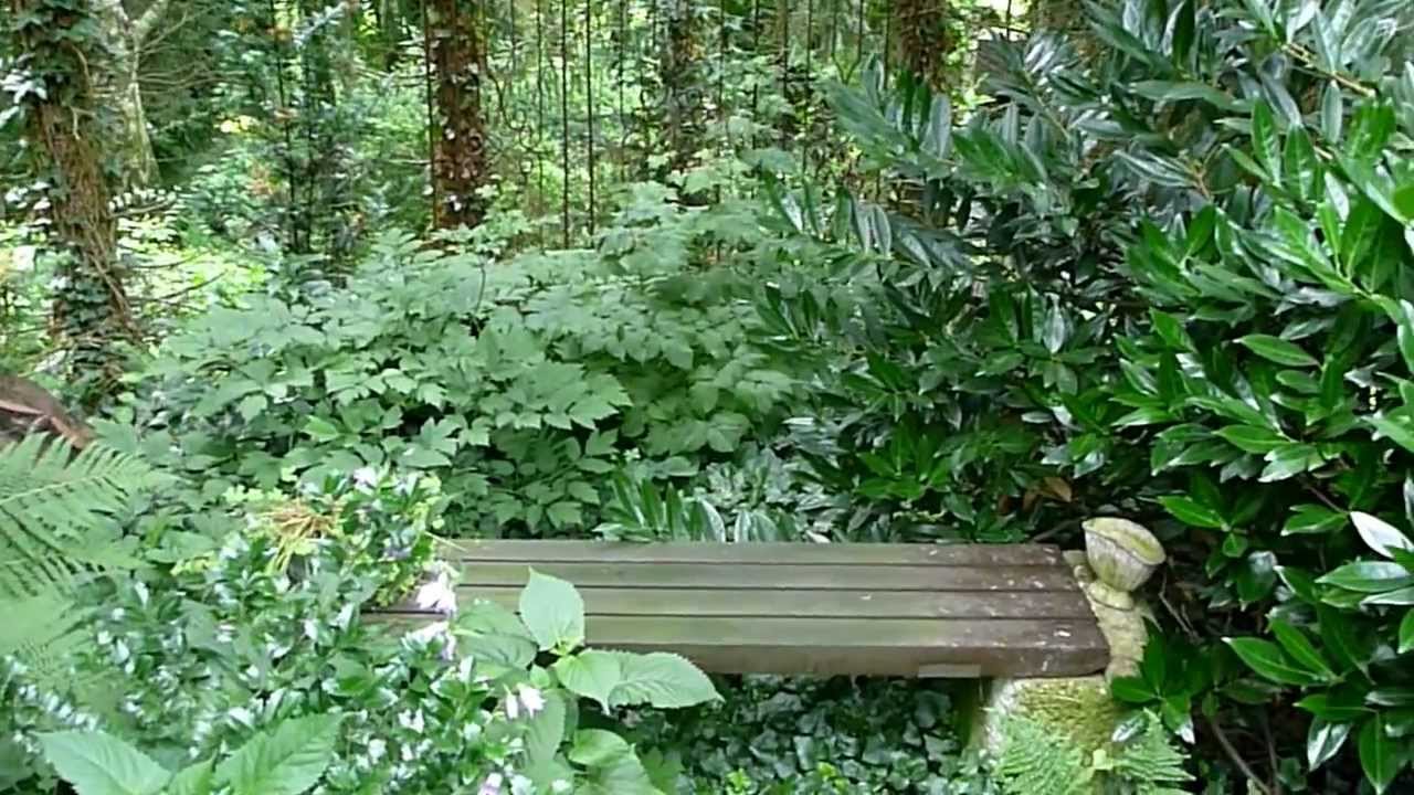Meine grüne Leidenschaft - Im schattigen Gartenteil