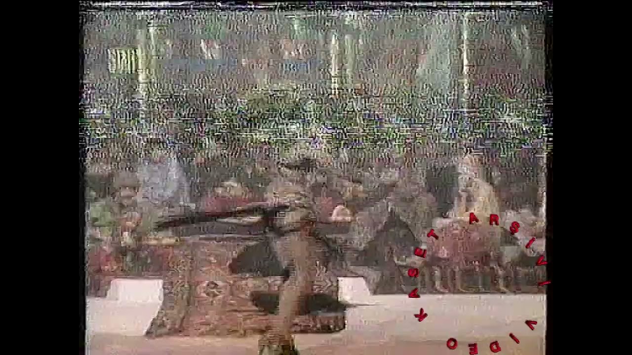 PINAR ELİÇE -- ORYANTAL SHOW | 1992 STAR1 YILBAŞI