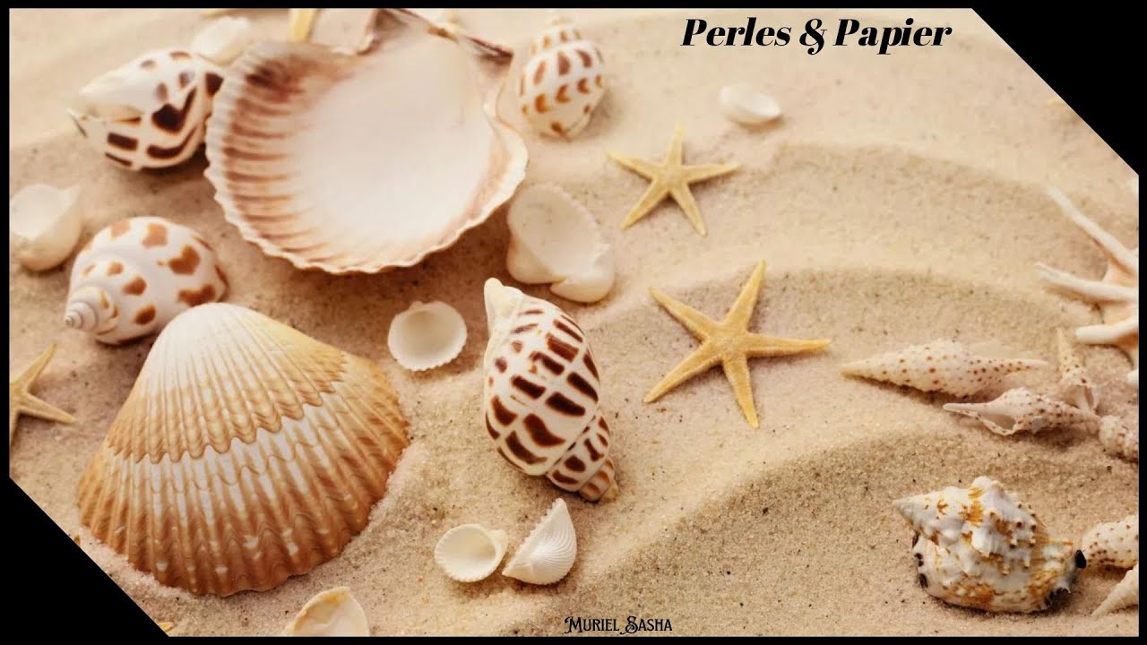 Présentation. Scrapbooking. Album photos 