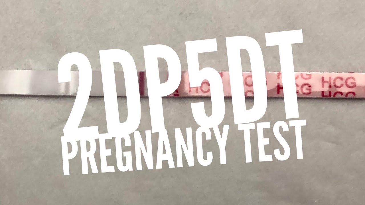 IVF/PGD - VLOG #42 - Live IVF Pregnancy Test - 2dp5dt