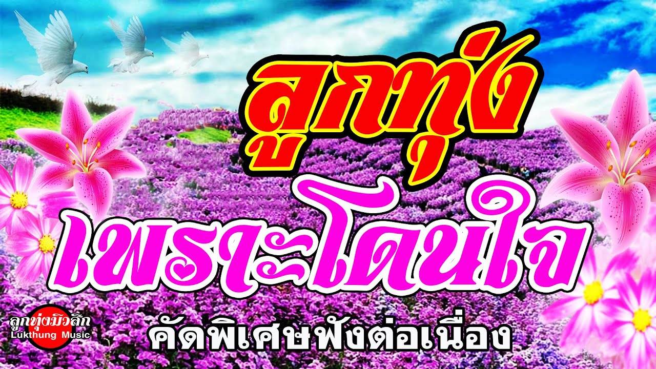 ลูกทุ่งเพราะโดนใจ[คัดพิเศษ]ฟังต่อเนื่อง