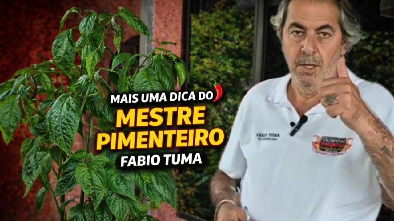 Aprenda eliminar pragas das pimentas com o mestre pimenteiro Fábio Tuma