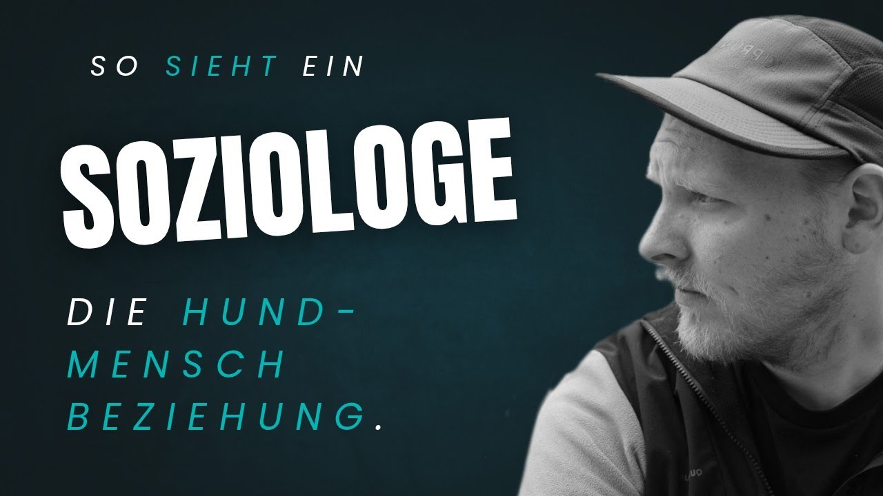 Wie ehrlich wollen wir wirklich über Hunde reden?