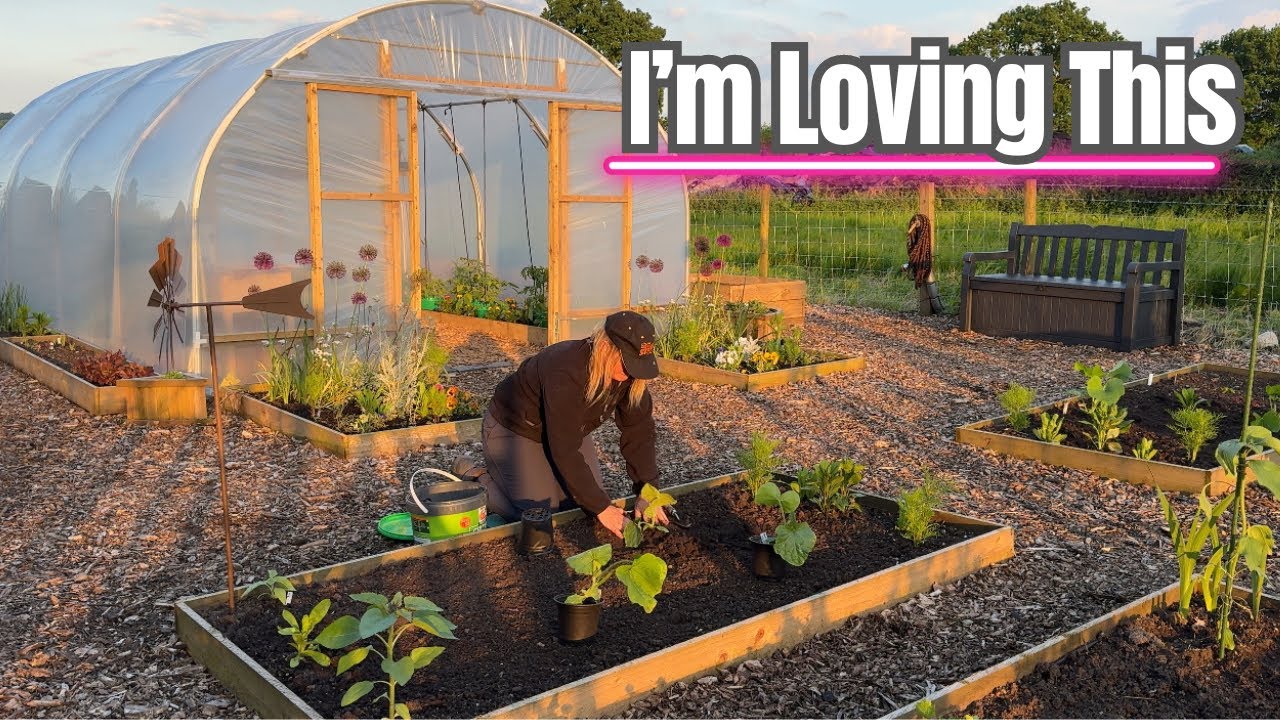 Vegetable Garden in May | Patty Pans & Butterbush Squash