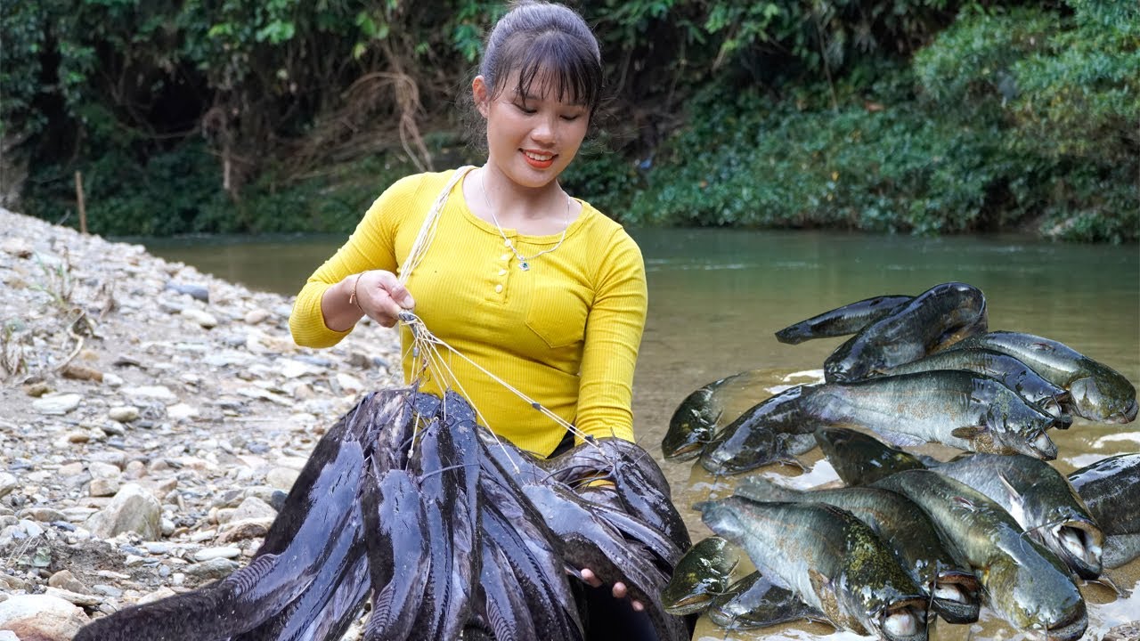 Single girl's unique way of fishing - Harvesting 20 kg of fish in a natural stream