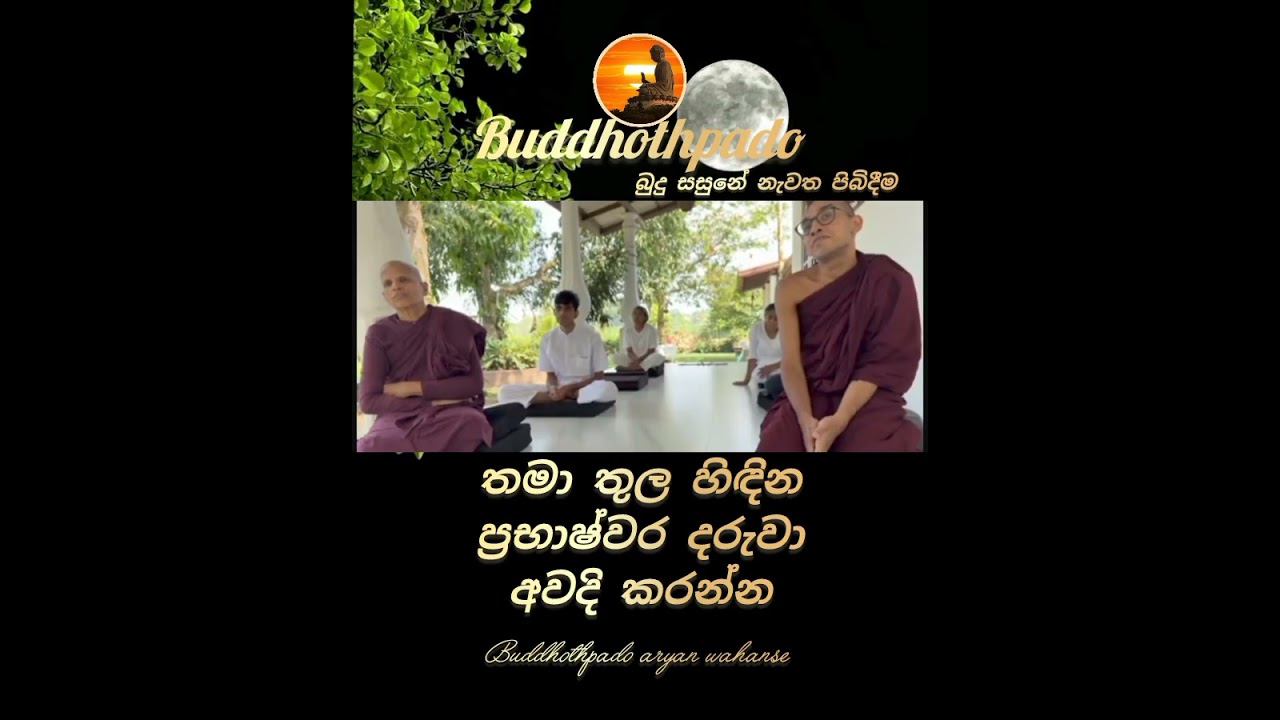මොහොතට අවදිය
