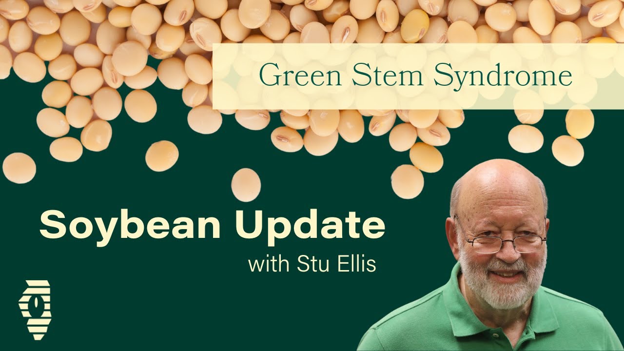 Green Stem Syndrome with Stu Ellis