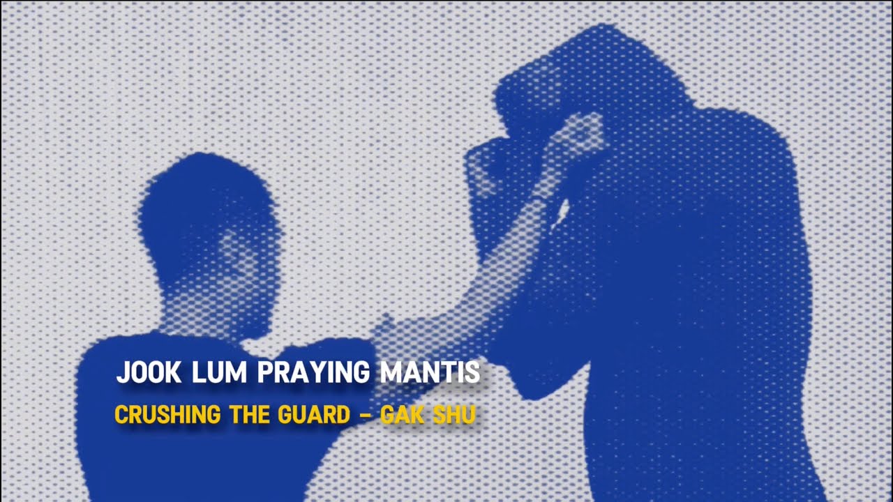 Southern Praying Mantis - Crushing the Guard