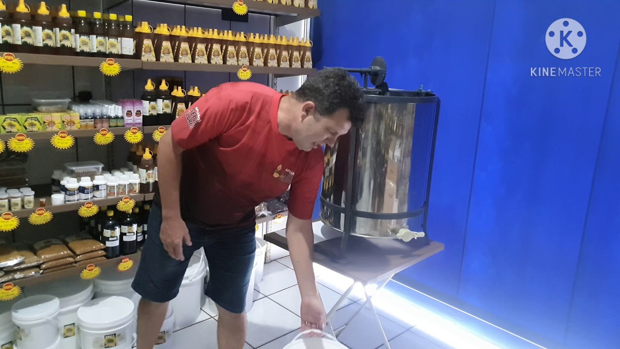 Valores de gastos e valores de ganhos para começar criar 10 colmeias de apis.