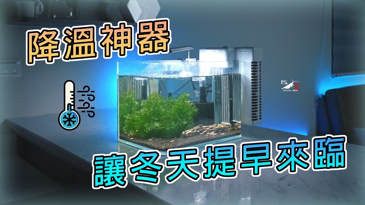【開箱】不開冷氣養水晶蝦的酷東西!外掛式冷水機｜DYT｜制冷晶片｜我只是個養蝦的