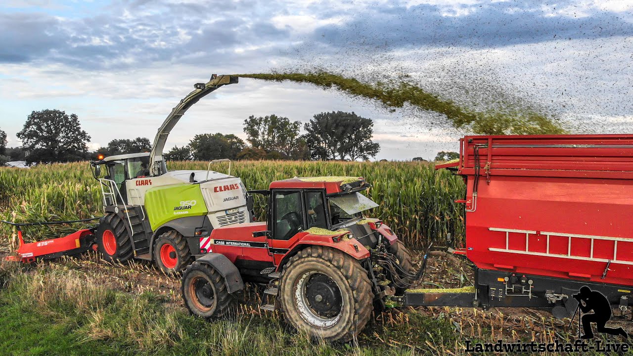 Milchbauer Matthias Häckselt Mais | Claas Jaguar 950 / Case IH Magnum 7120 / Fendt 714 | Joemann