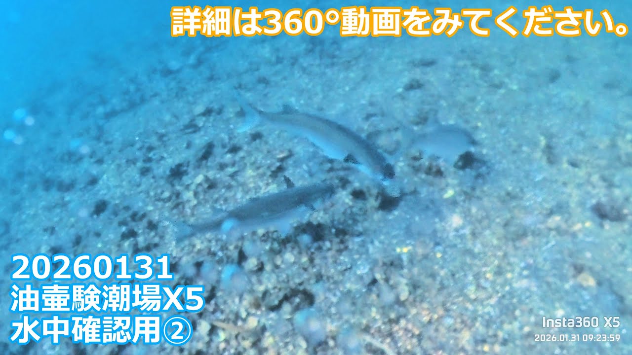 20260131X5②油壷験潮場水中確認用(07:49:53～09:26:20)チャプター付き