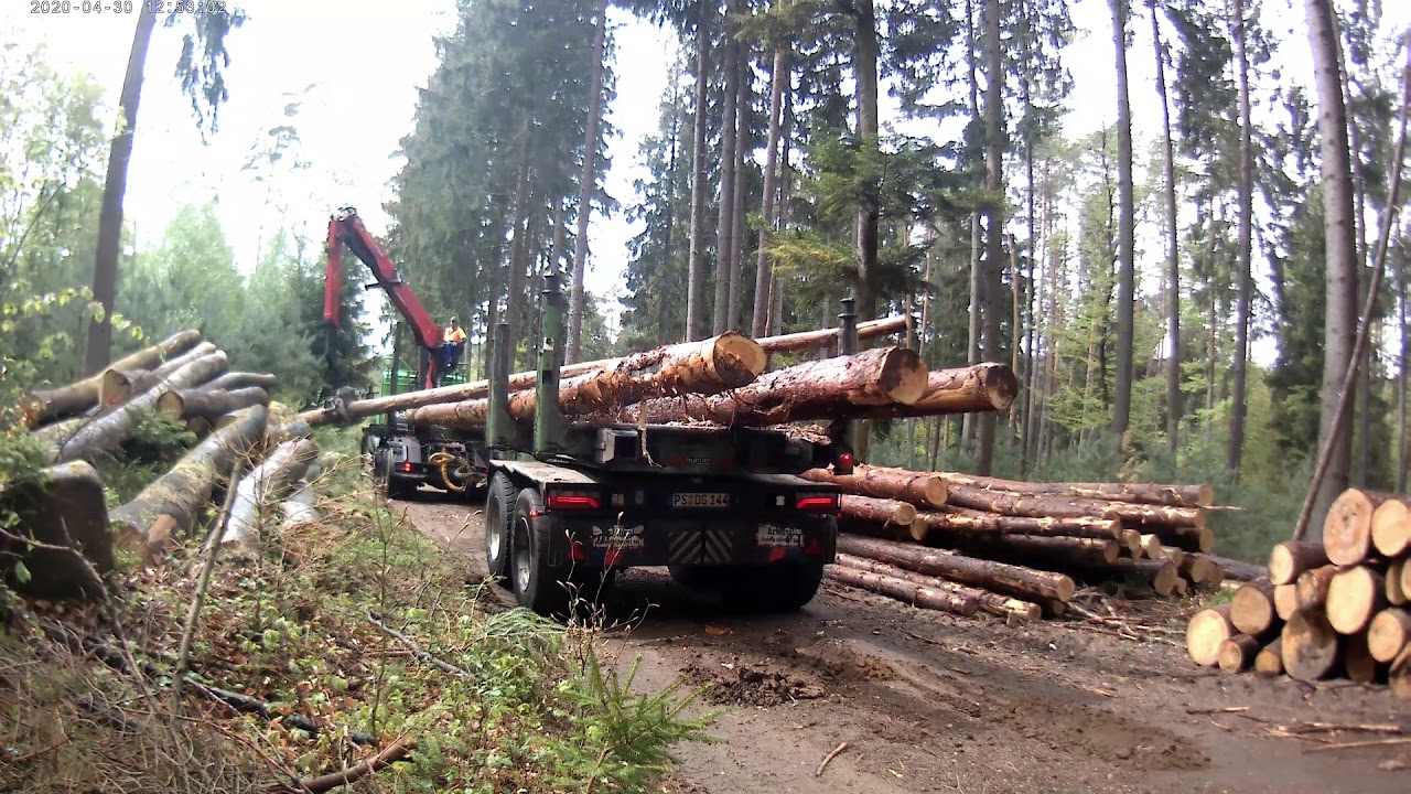 Scania G490 Holz Transport