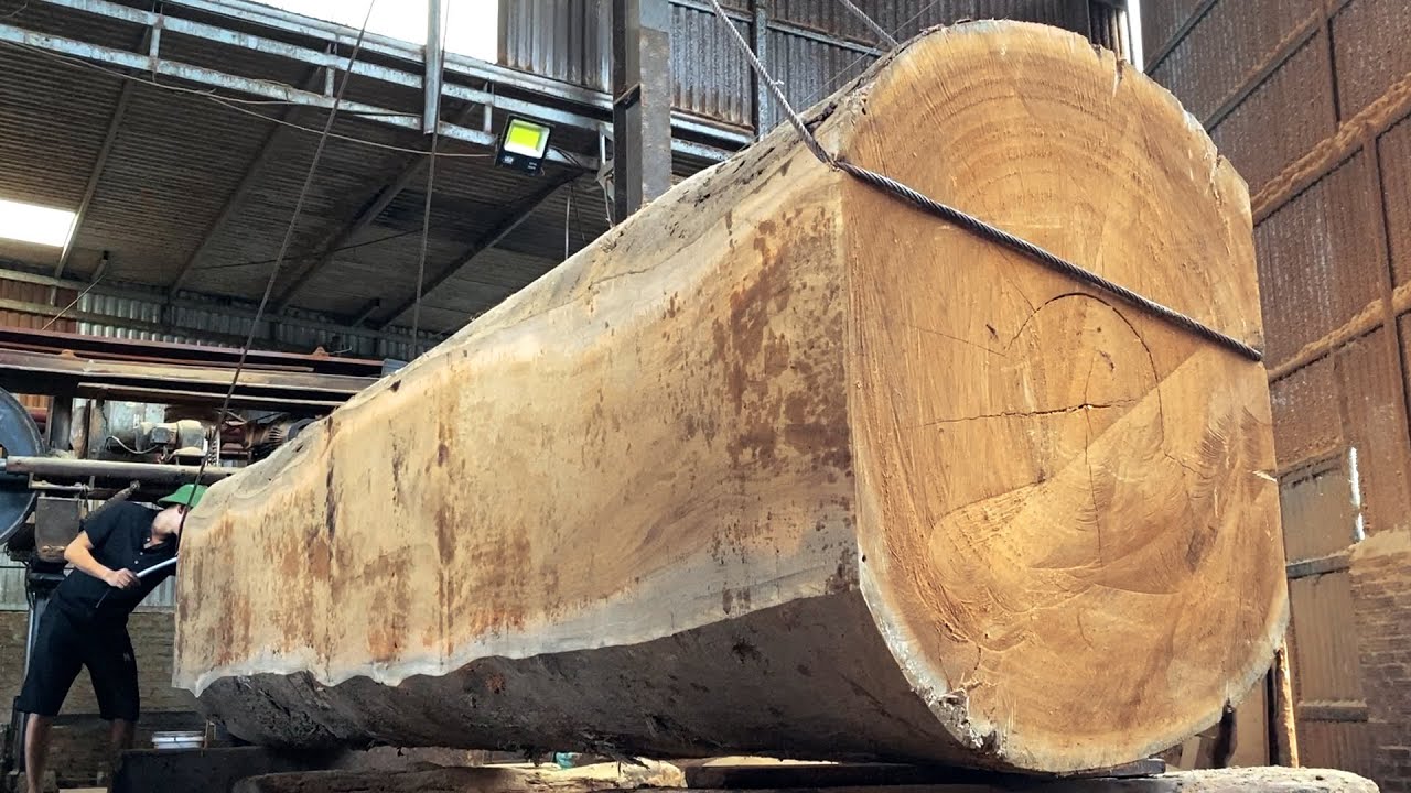 Amazing Woodworking Technology You've Never Seen - Giant Saw Operation, Rare Walnut Wood