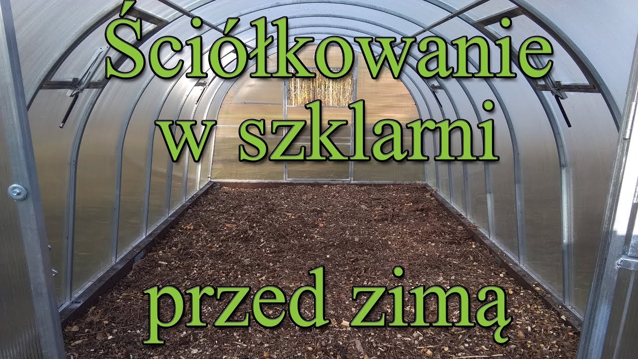 Ściółkowanie  w szklarni przed zimą