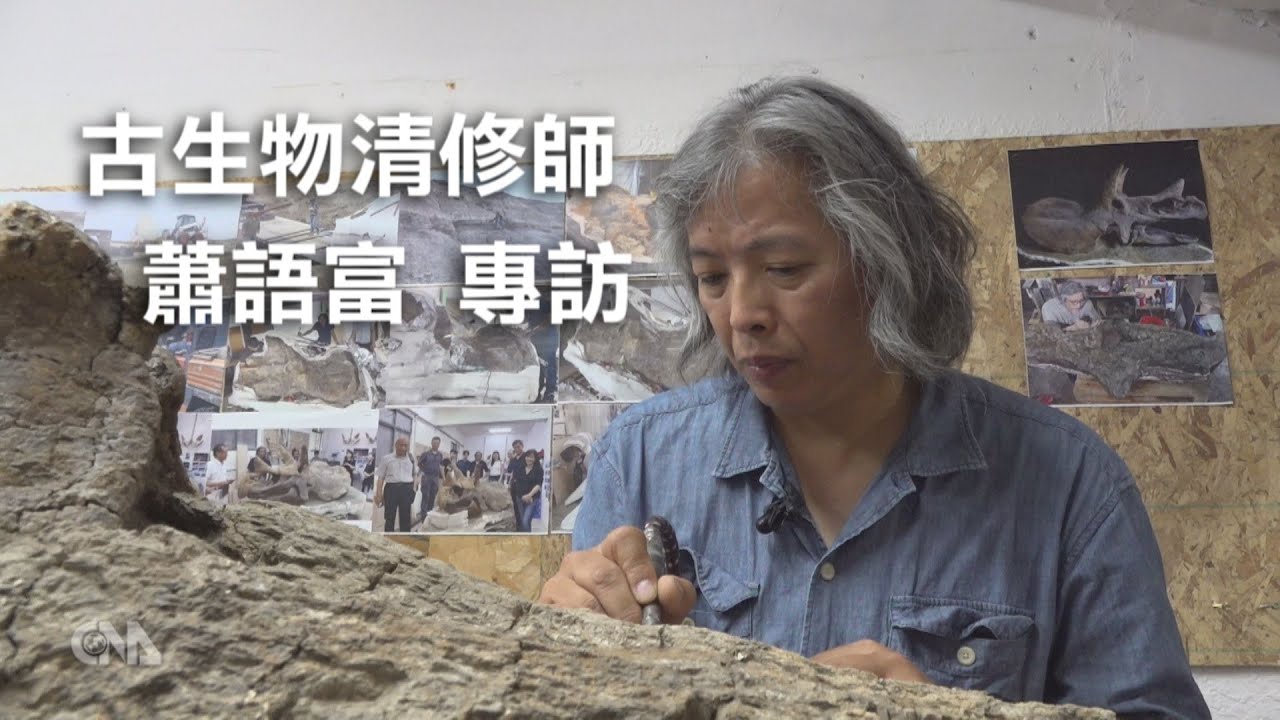 古生物清修師 蕭語富專訪｜中央社專訪